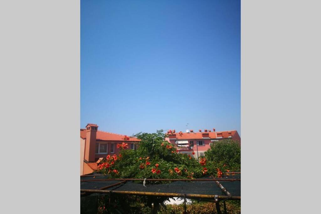 Apartamento Casa Di Nonna Pina, Kuca U Blizini Arene Pula Exterior foto